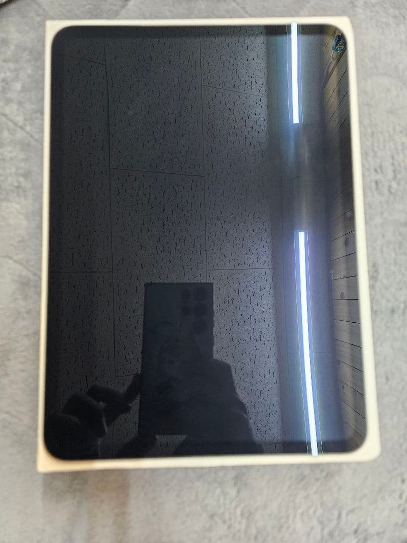 iPad Pro M4(第5世代) 11インチ Wi-Fiモデル 1TB 本体