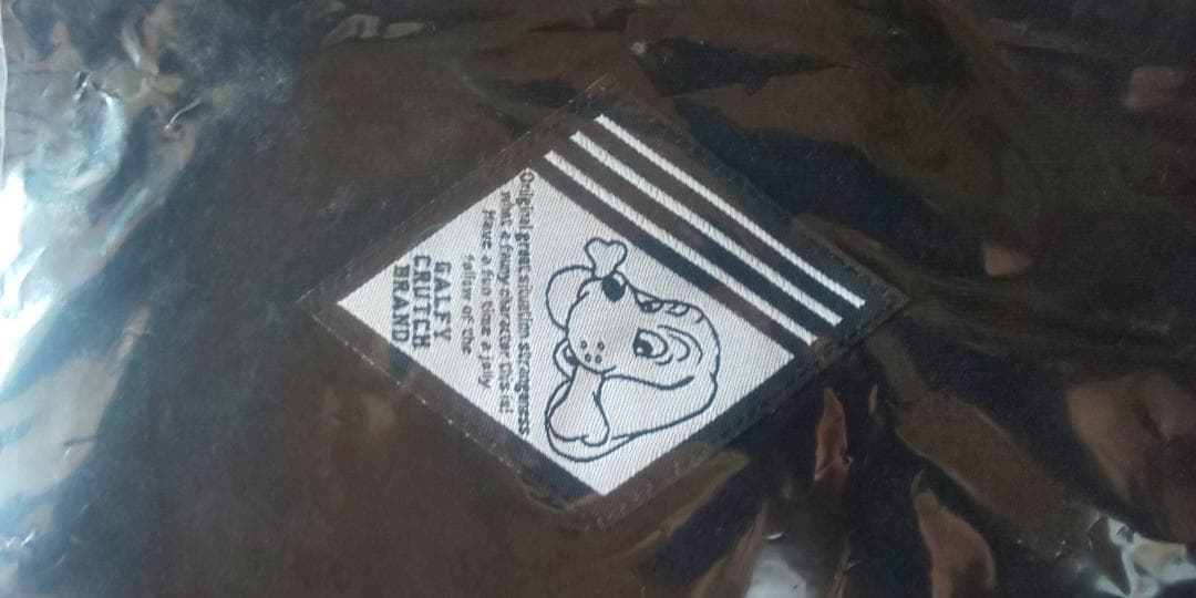 新未 花冷え。×GALFYコラボ犬Tシャツ２匹目　中型犬Ｌ　春の大解放祭2025