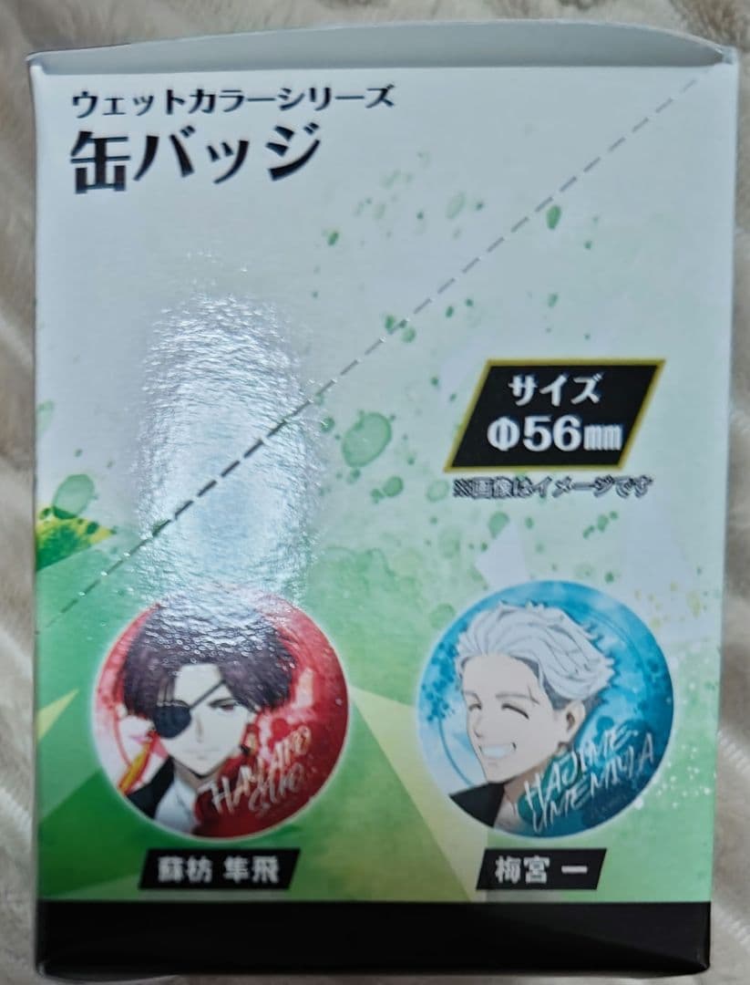 WINDBREAKER ウェットカラー シリーズ 缶バッジ 全5種 ×15BOX