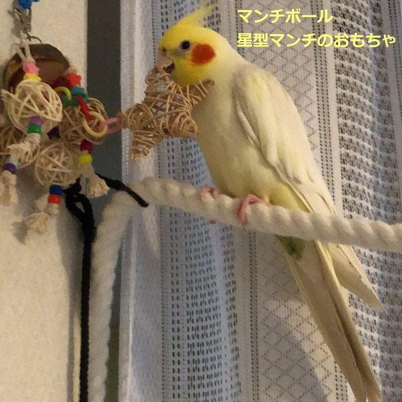 ハンドメイド　インコおもちゃ　オーダーページ　2025.04.27更新