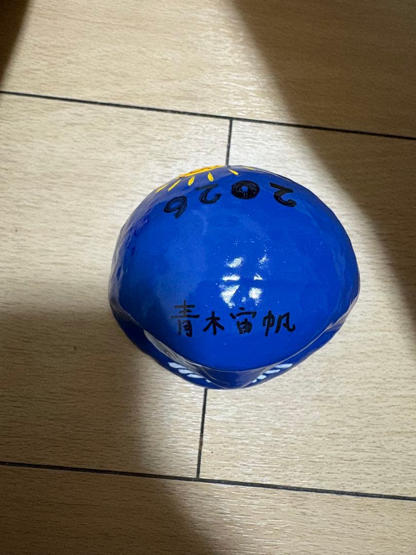 僕が見たかった青空 僕青 青木宙帆 高崎だるま