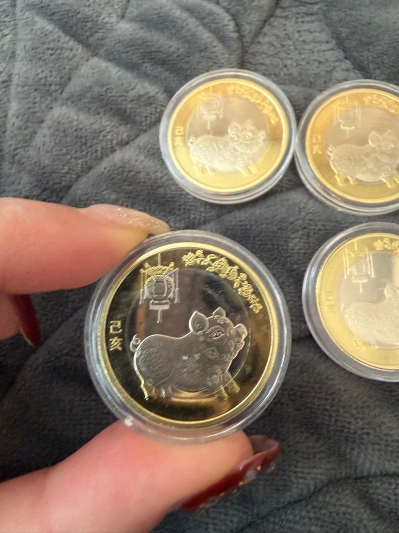 中国記念硬貨 2019年十二支　イノシシ　記念10元　未使用　10枚セット