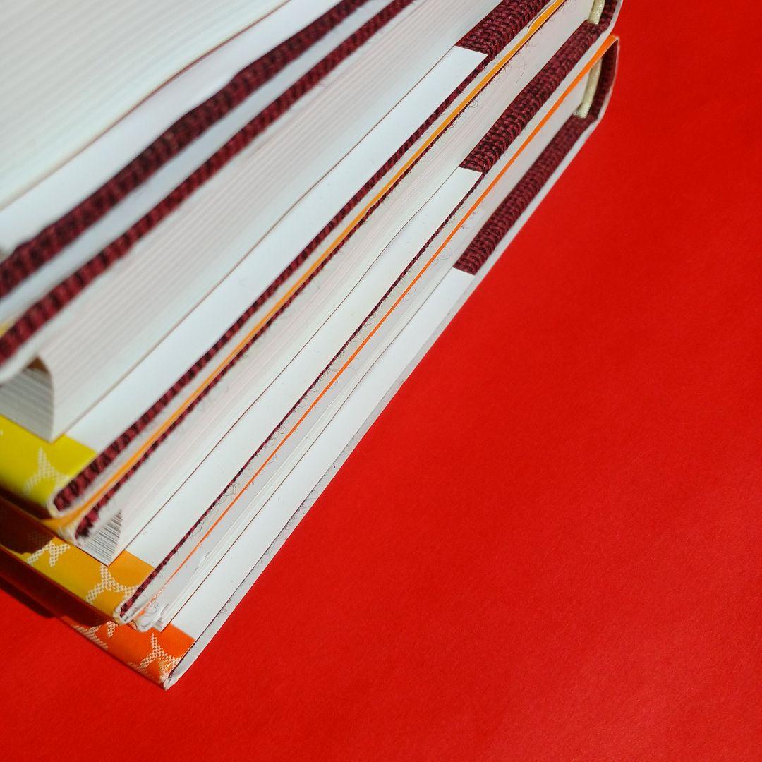 M*l様 ヒマラヤ聖者の生活探求