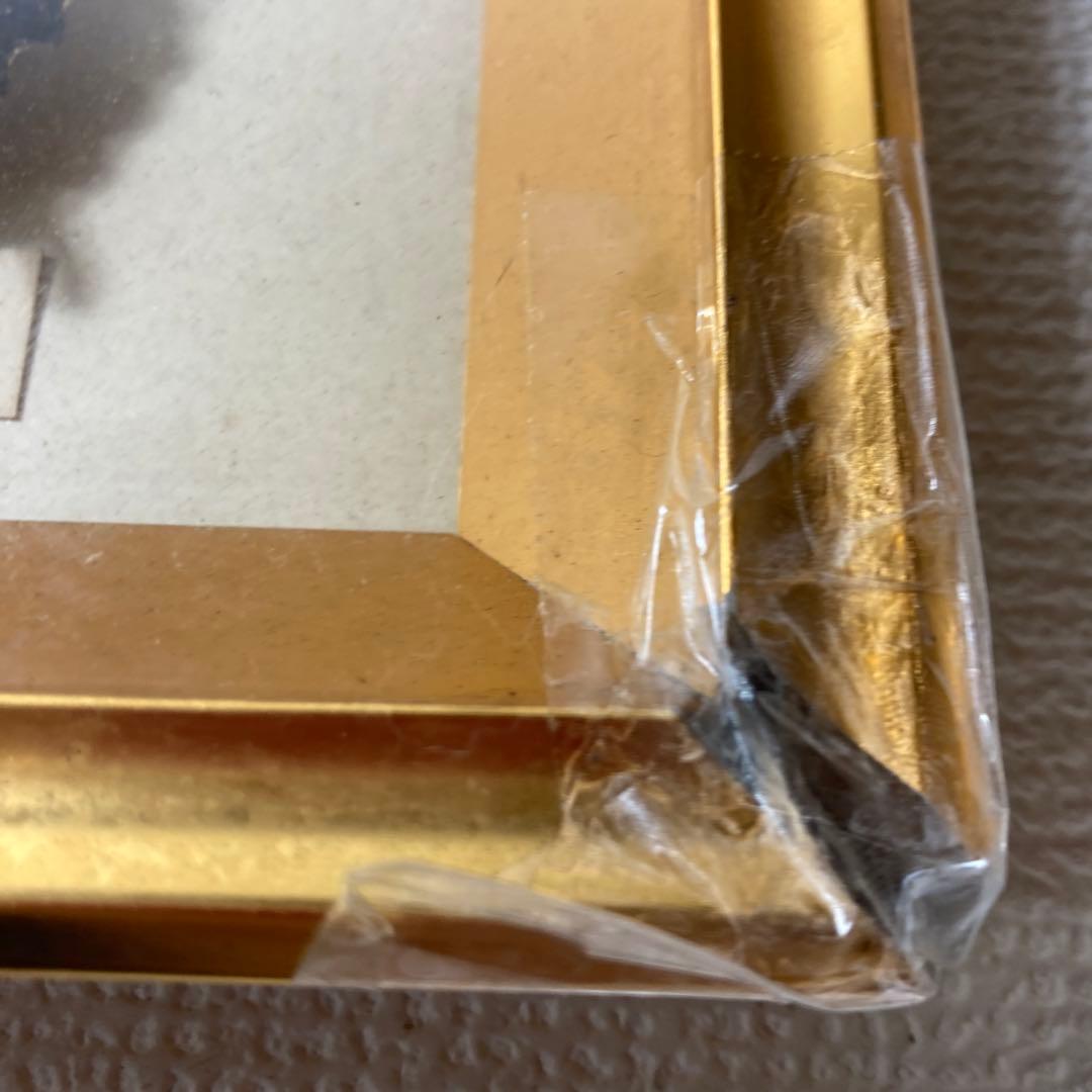 蝶の標本コレクション