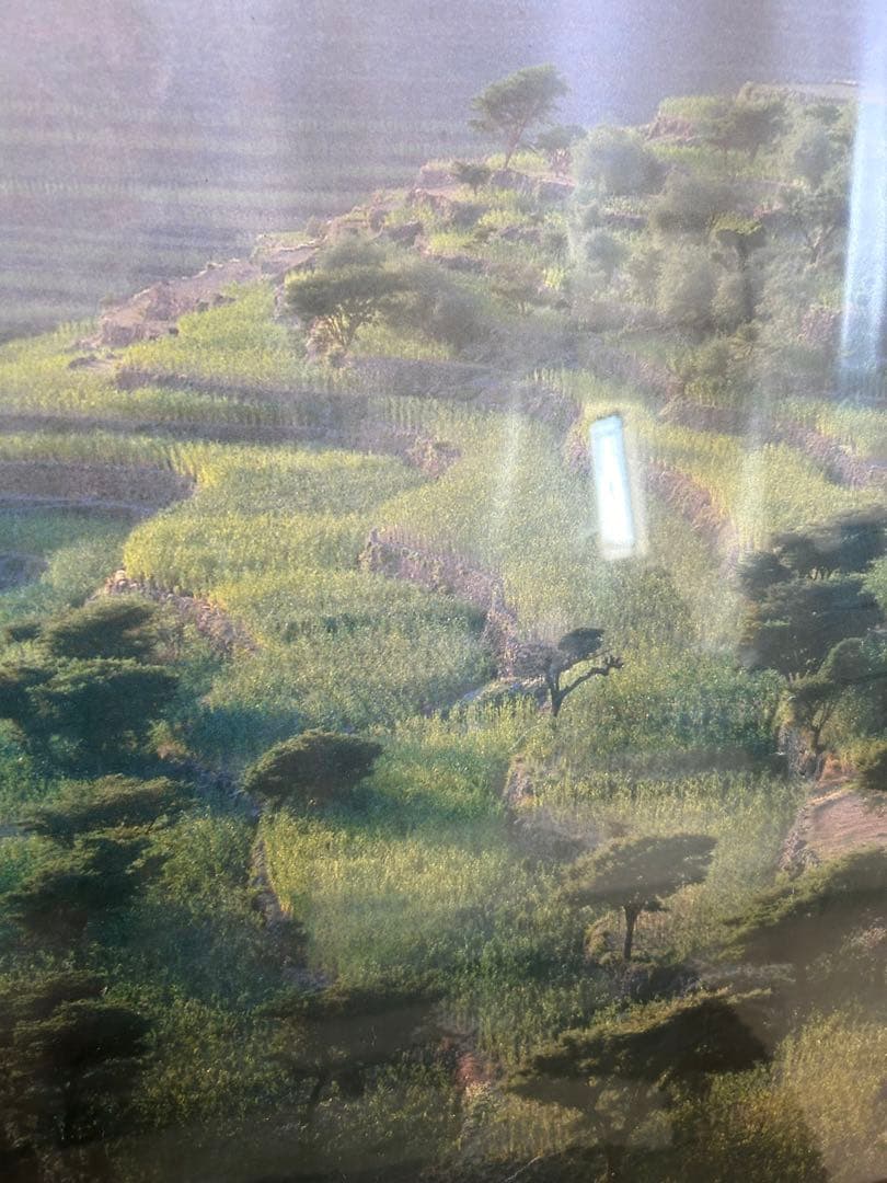 激レア！イエメン　プロモーションポスター