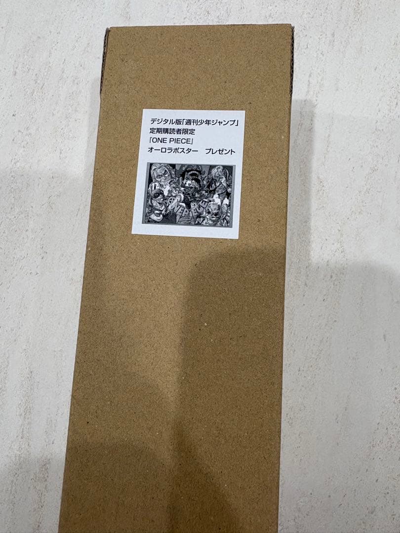 ONE PIECE オーロラポスター B2サイズ