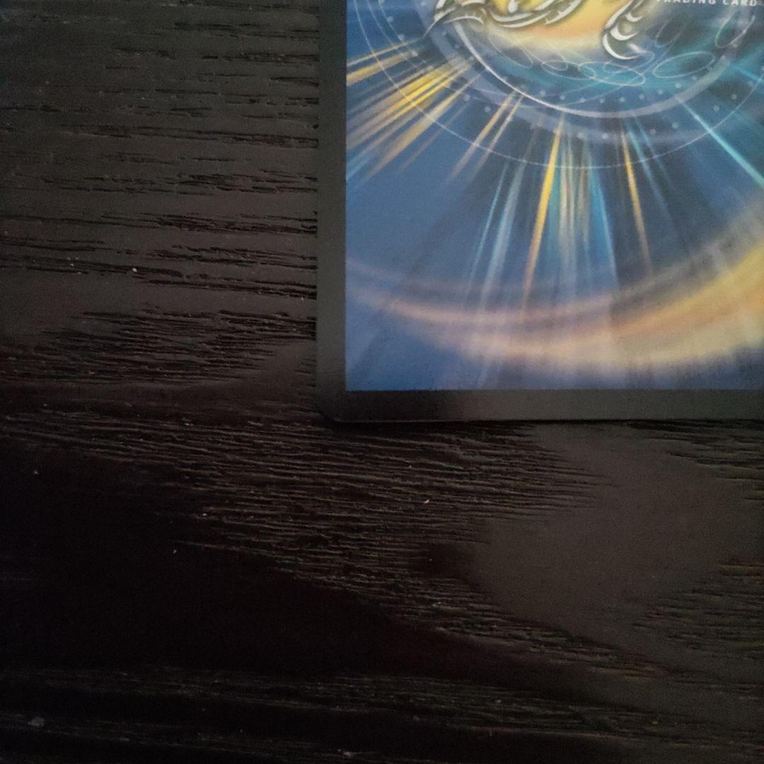 ラブエクスパンション　シク　1枚