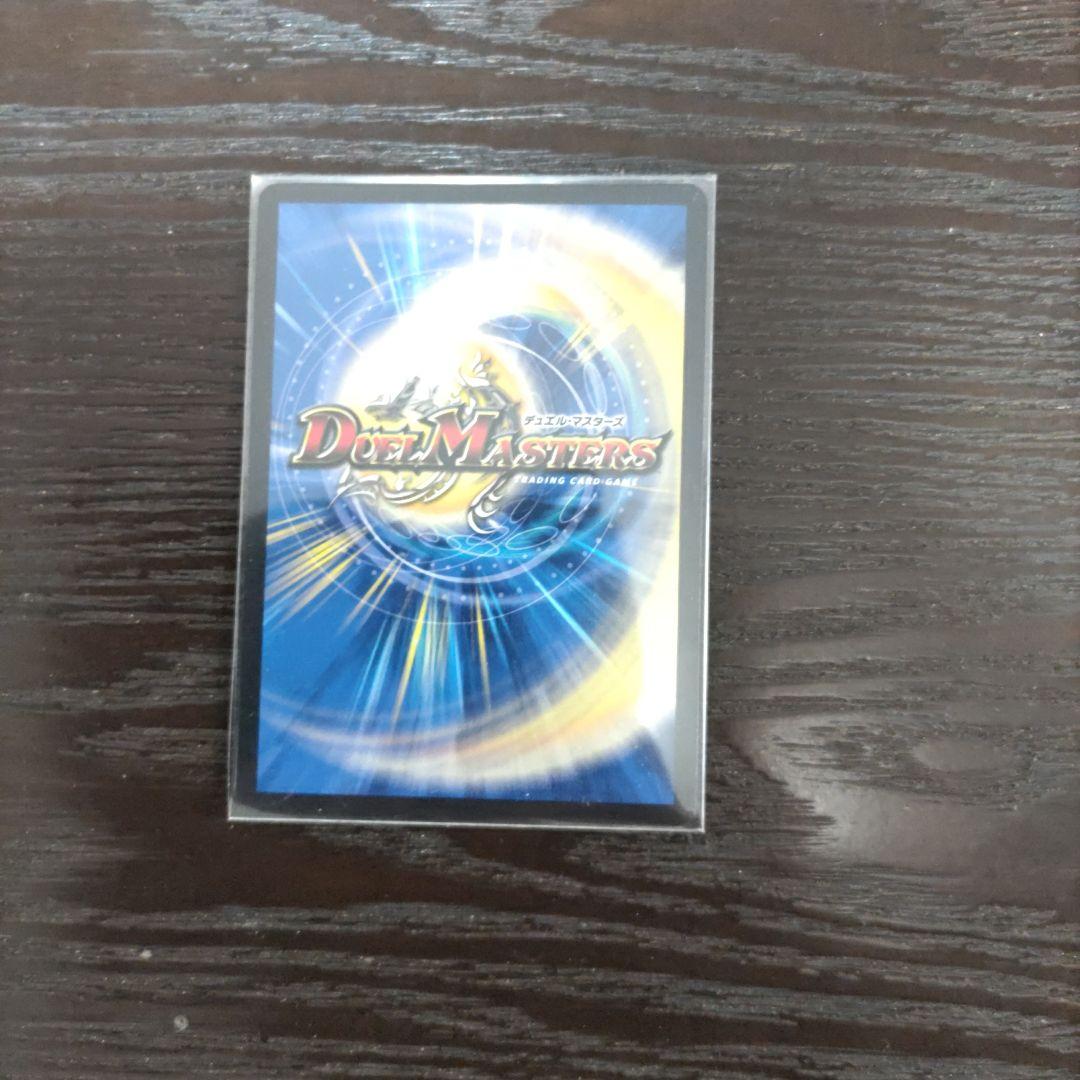 ラブエクスパンション　シク　1枚