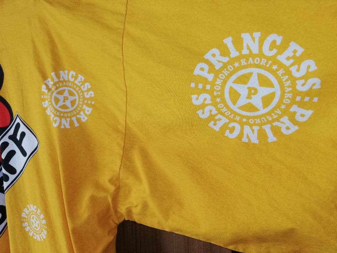 プリンセスプリンセスSTAFF祭ハッピ(帯付き) 非売品