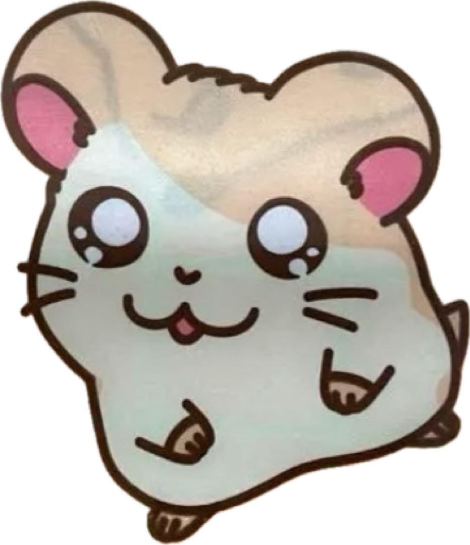 ２７袋　ハム太郎　カーテン　２枚セット　＆ＰＩＺＺＡ➖ＬＡマグカップ