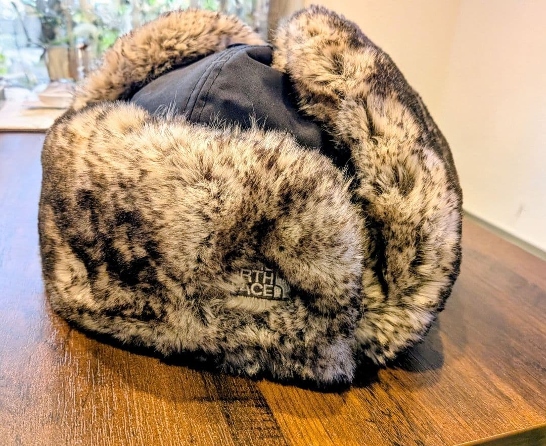 THE NORTH FACE フライトキャップ 黒