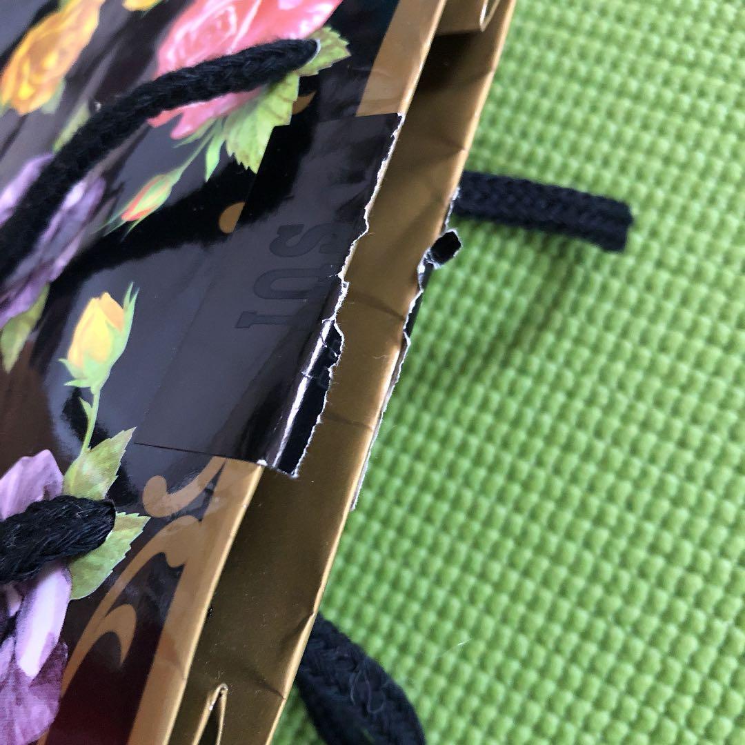 ANNA SUI アナスイ　紙袋　ショップ袋