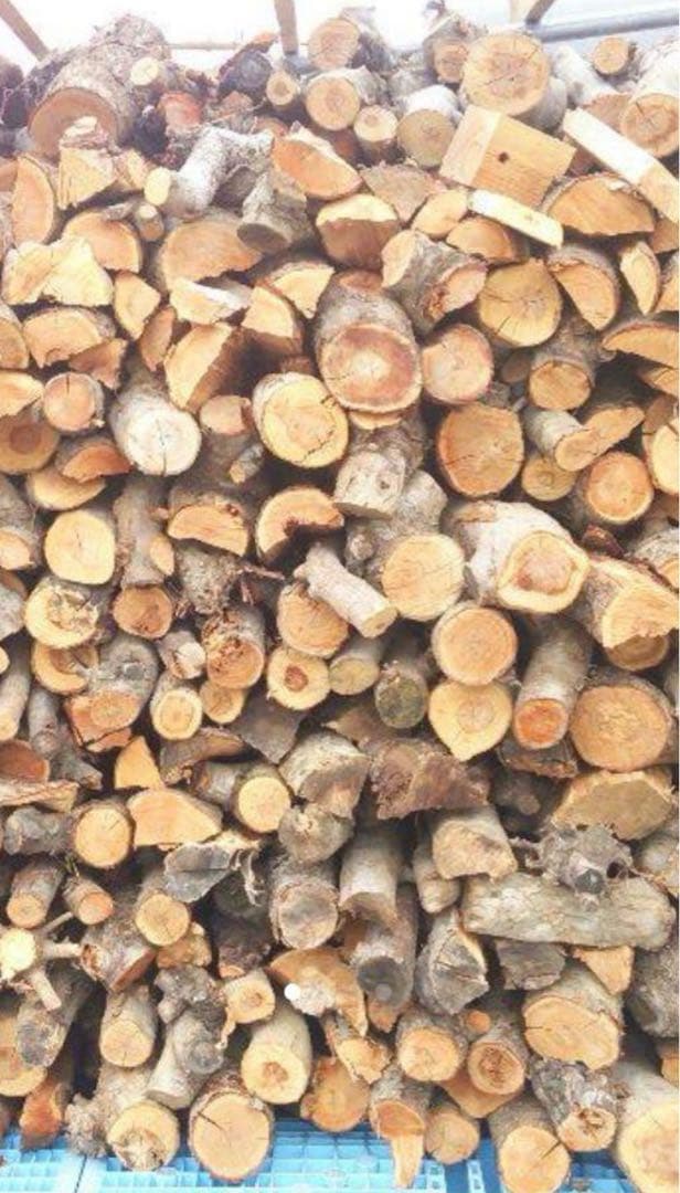 ken ken　長野市発　りんご薪