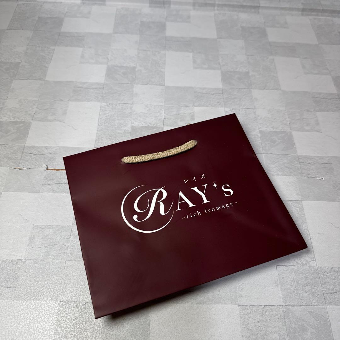 800枚以上！ ボルドーカラー ショッパー 手提げ袋 キャリーバッグ