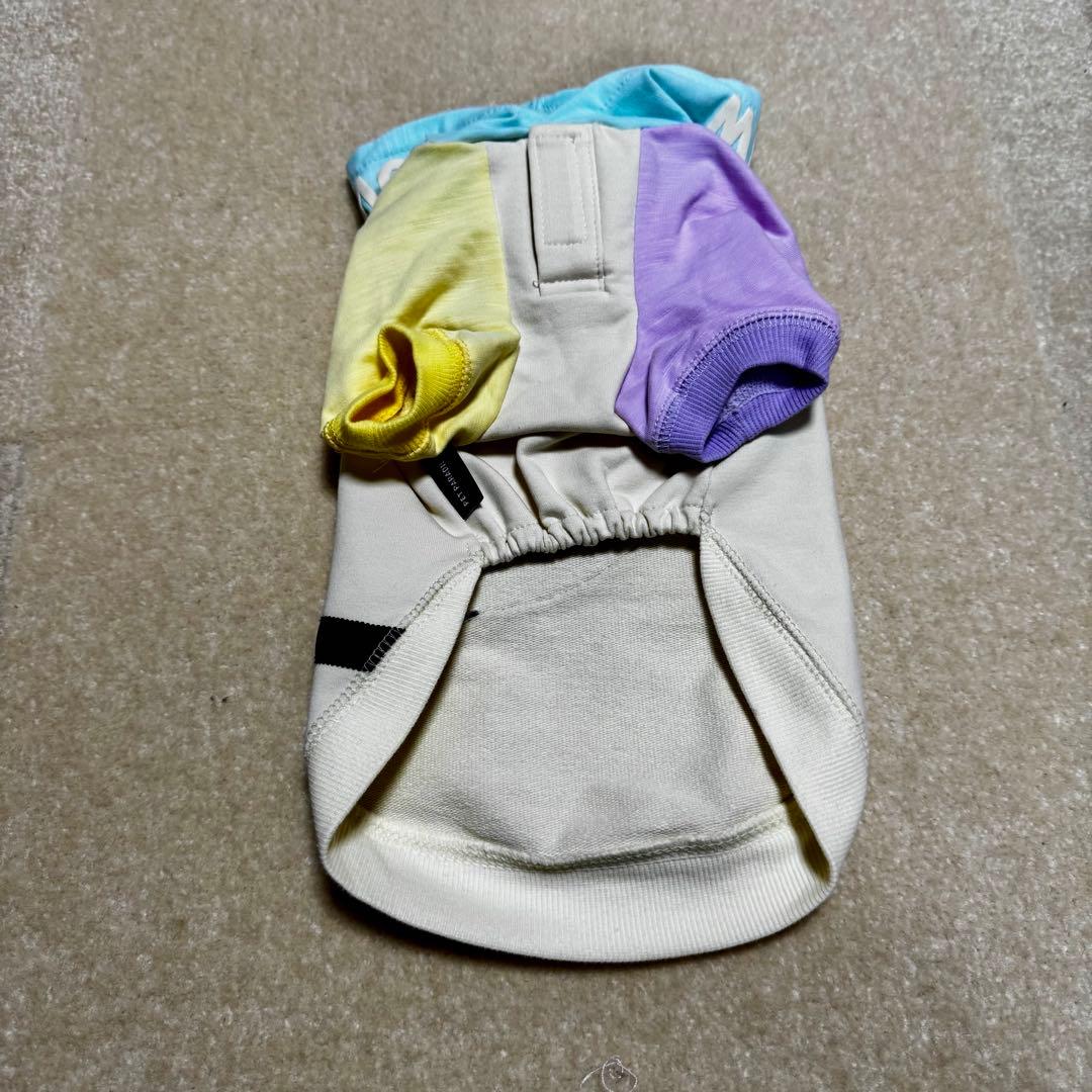 ペットパラダイス 福袋 2026 犬服 男の子 SS