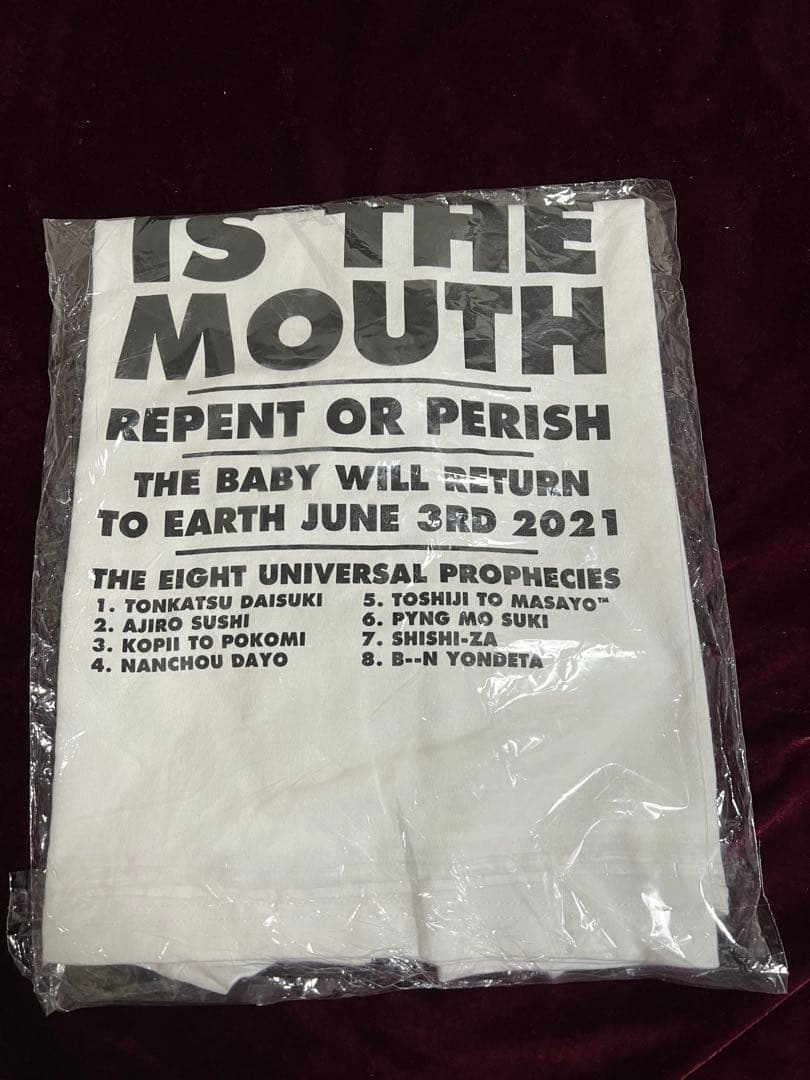 【希少】HASEGAWA IS THE MOUTH Ｔシャツ シソンヌ長谷川別注