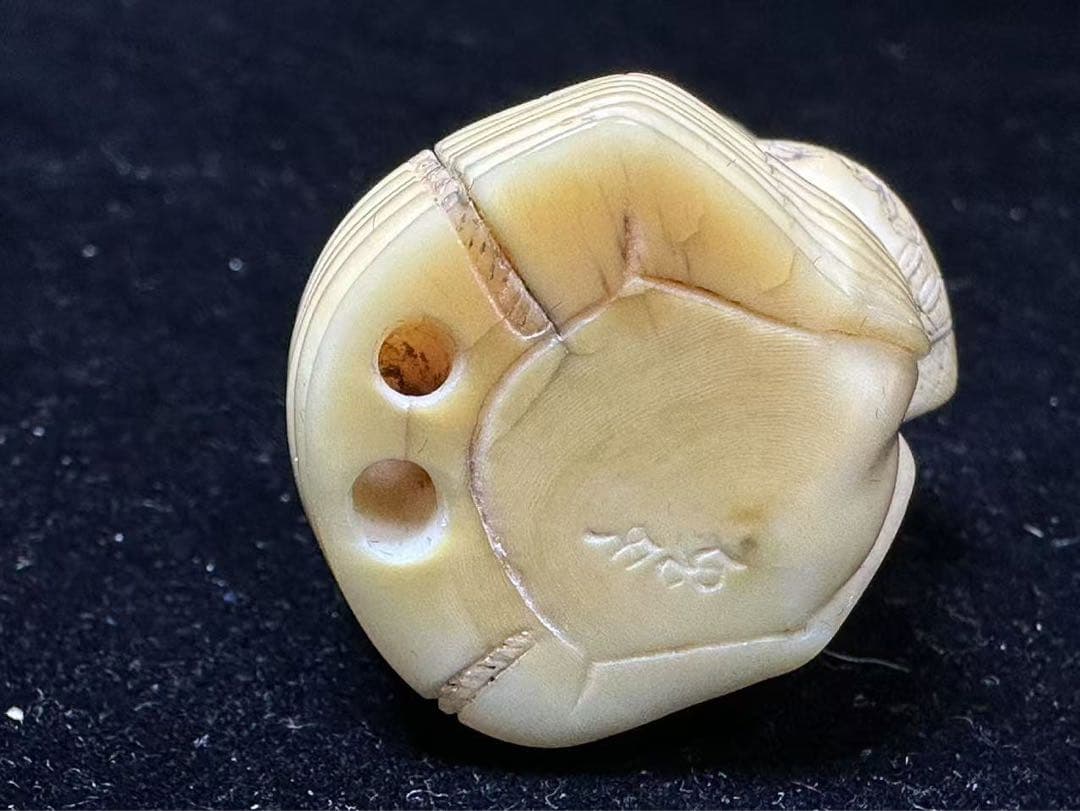 極上　根付　抹香鯨　マッコウクジラ　アンティーク　天然素材　骨董　コレクションか