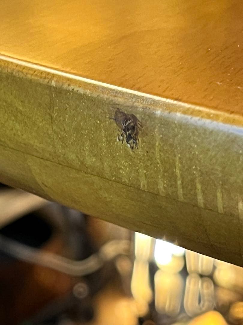 sale ラウンドテーブル　1０５　丸テーブル　無垢材仕上げ　デザインレッグ