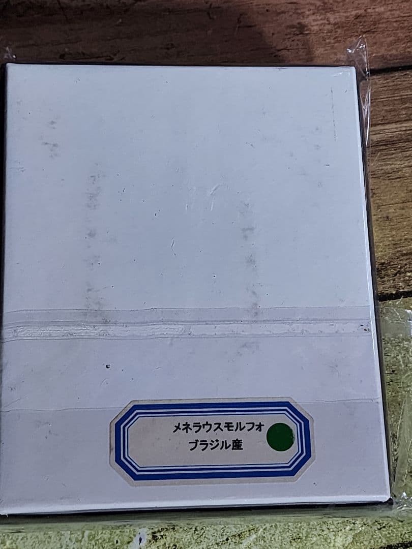 メネラウスモルフォ　蝶々　標本