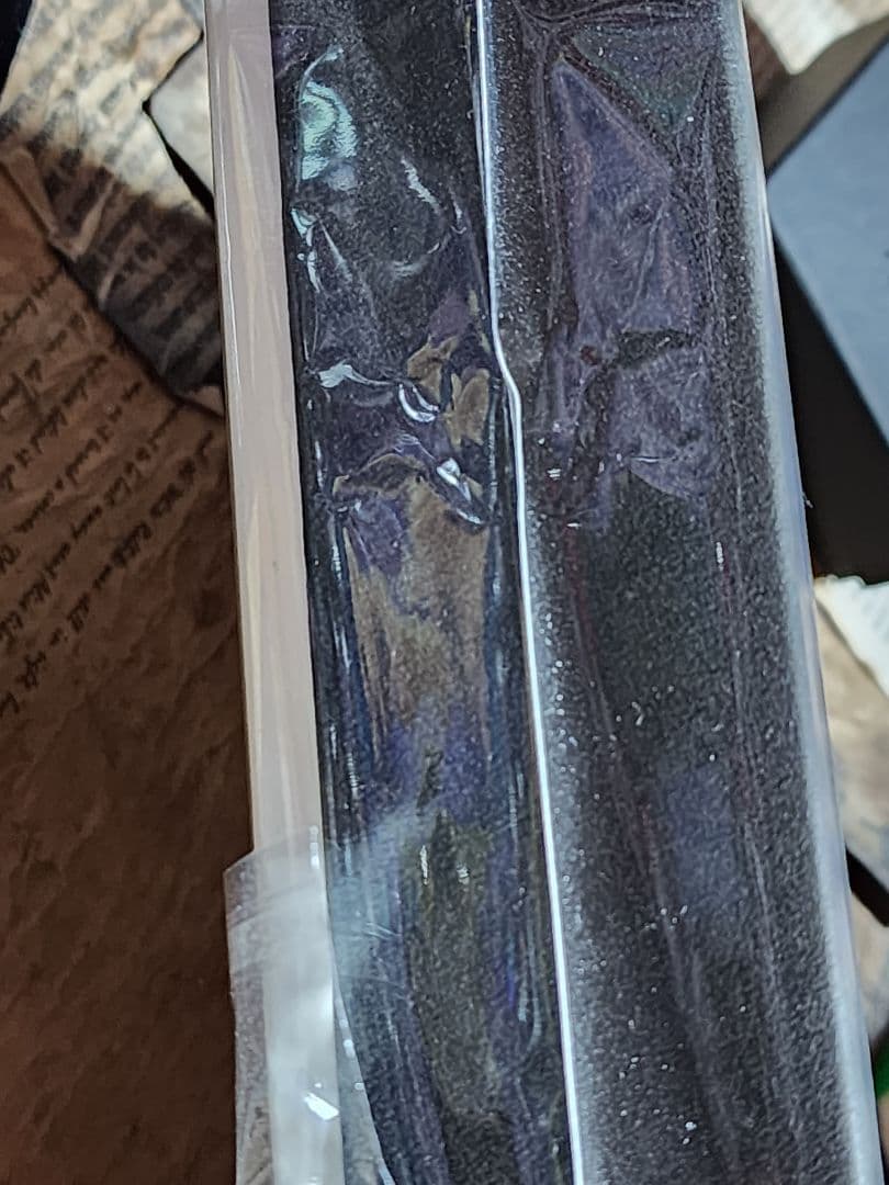 メネラウスモルフォ　蝶々　標本