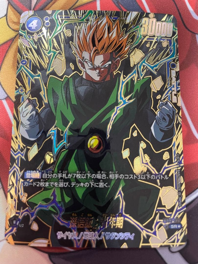 孫悟飯 パラレル