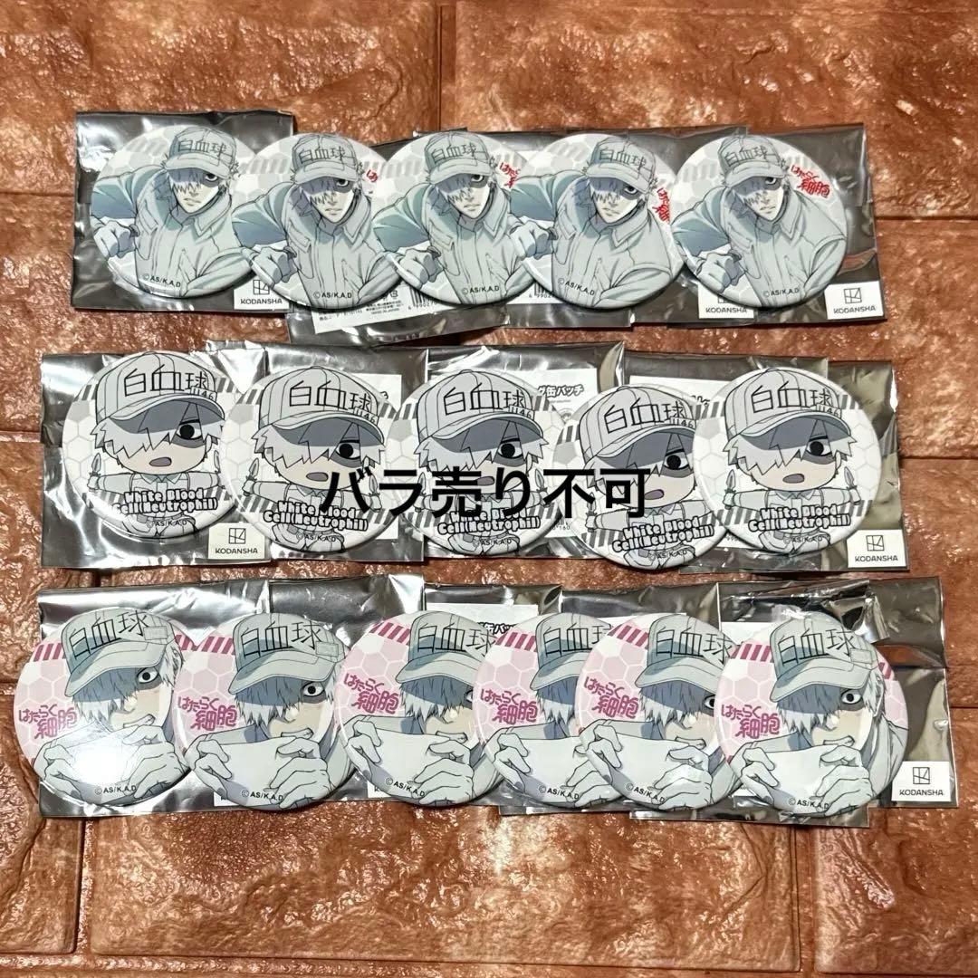 はたらく細胞　缶バッジ　白血球　まとめ