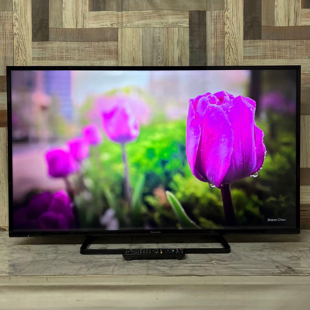 即日受渡❣️全国送料込パナソニックVIERA49V型テレビ地上デジタルBS CS