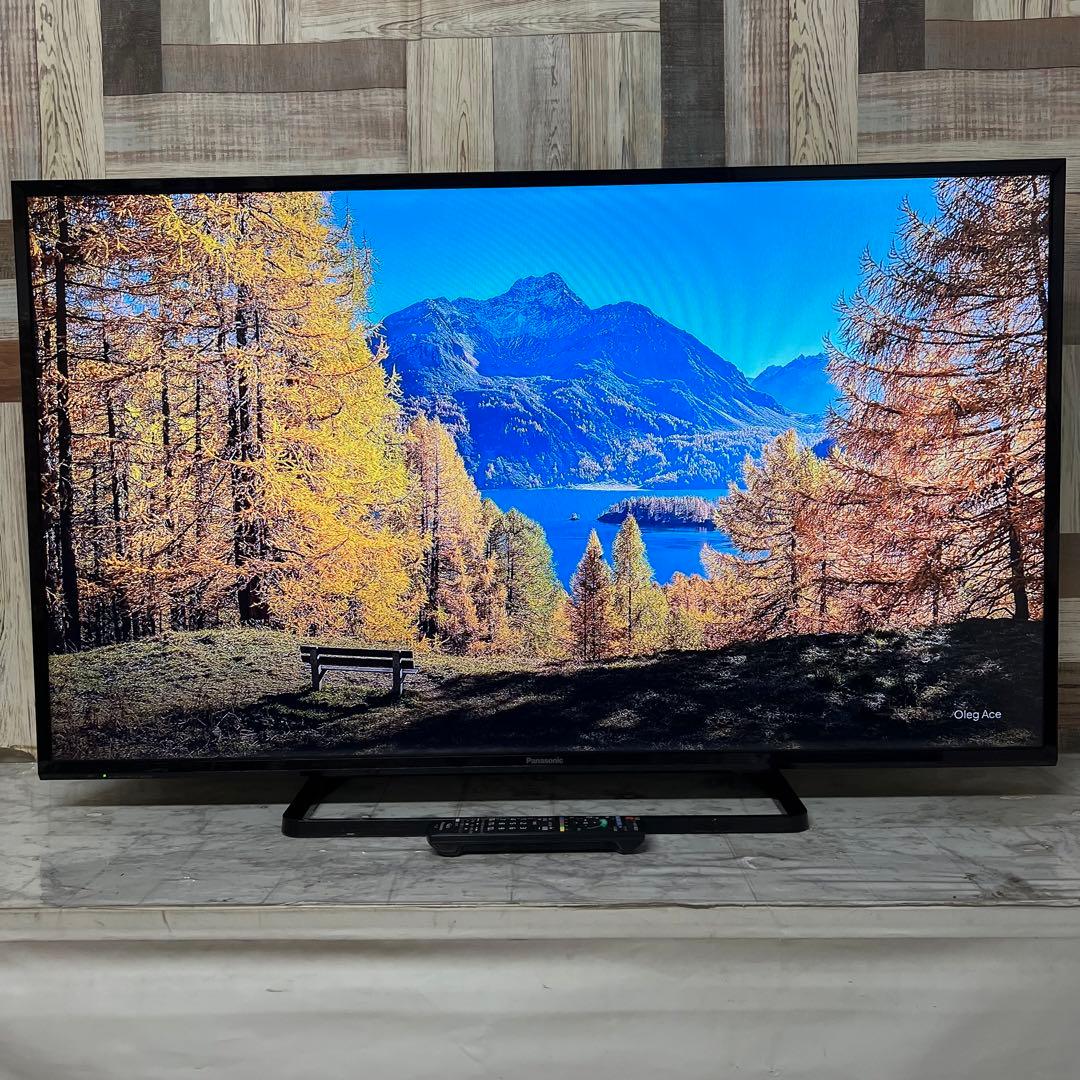 即日受渡❣️全国送料込パナソニックVIERA49V型テレビ地上デジタルBS CS