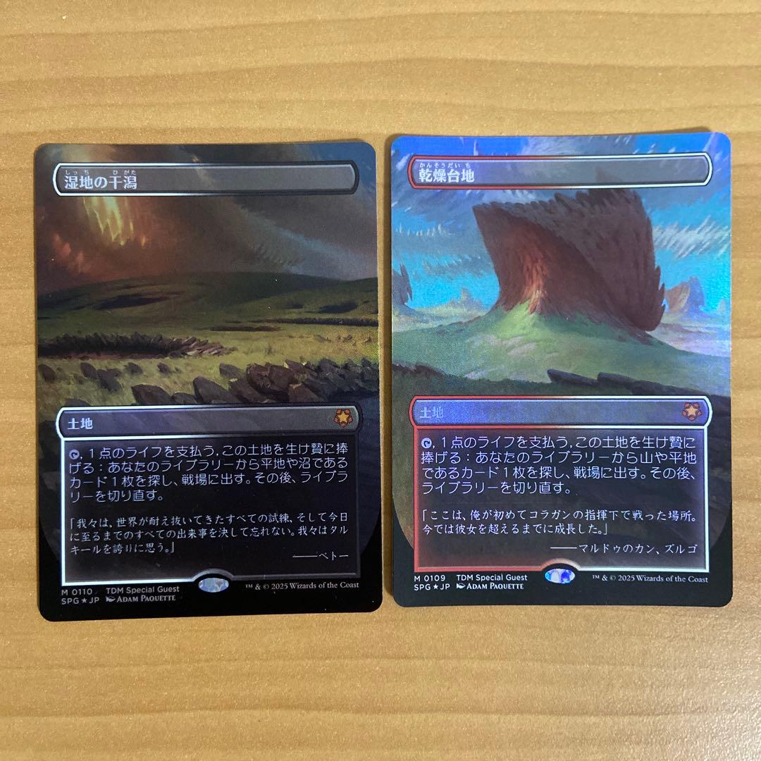 湿地の干潟　乾燥台地　foil