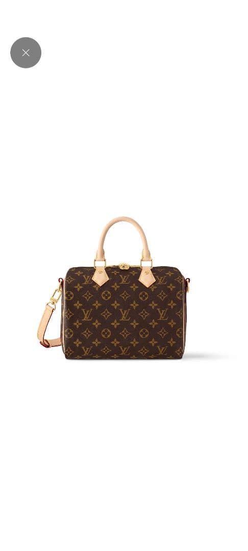 Louis Vuitton ショルダーバッグ　スピーディ・バンドリエール25