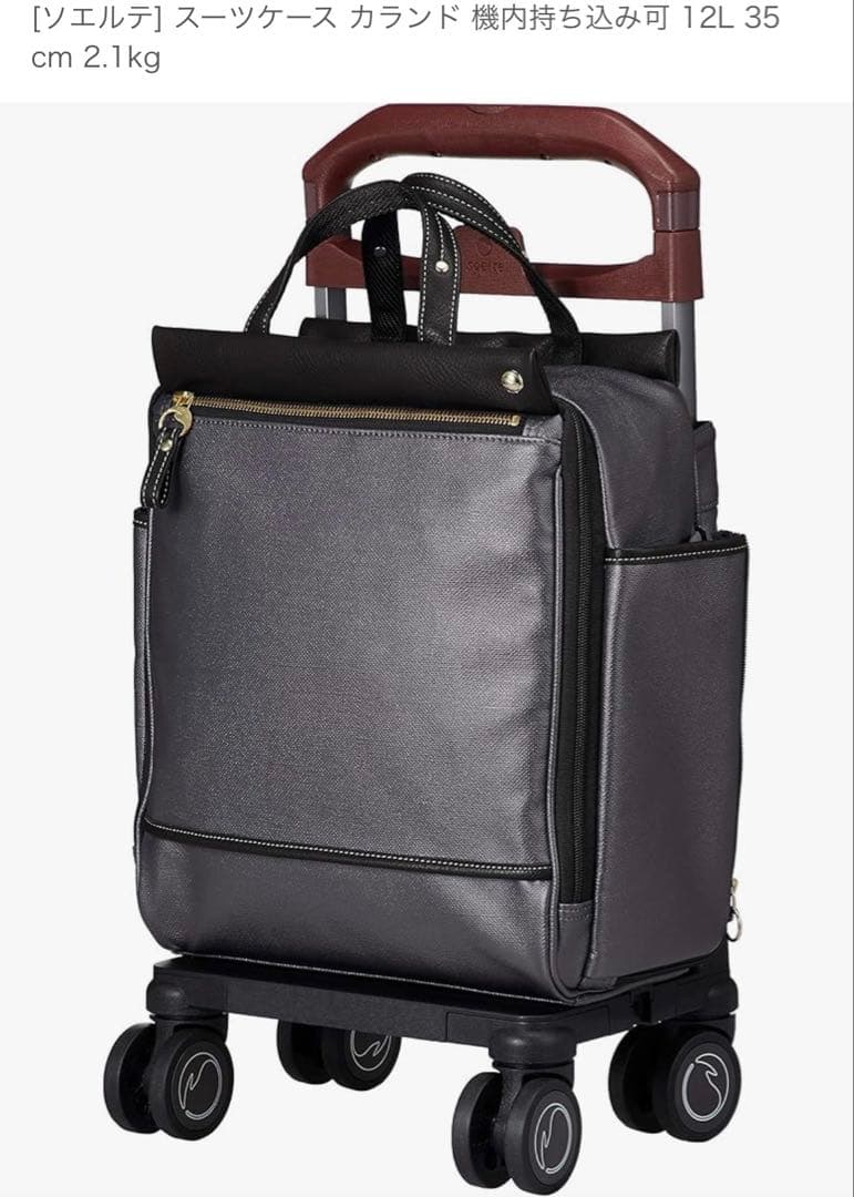 ACE ソエルテ　バック