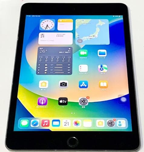 ♪ iPad mini 第5世代 64GB スペースグレー Wi-Fi ♪