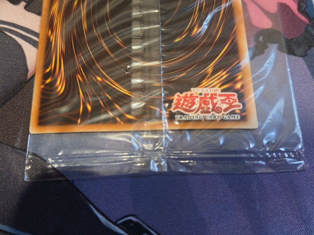 遊戯王　ホーリーナイトドラゴン　wcs 未開封　アジア 　seiyaryu