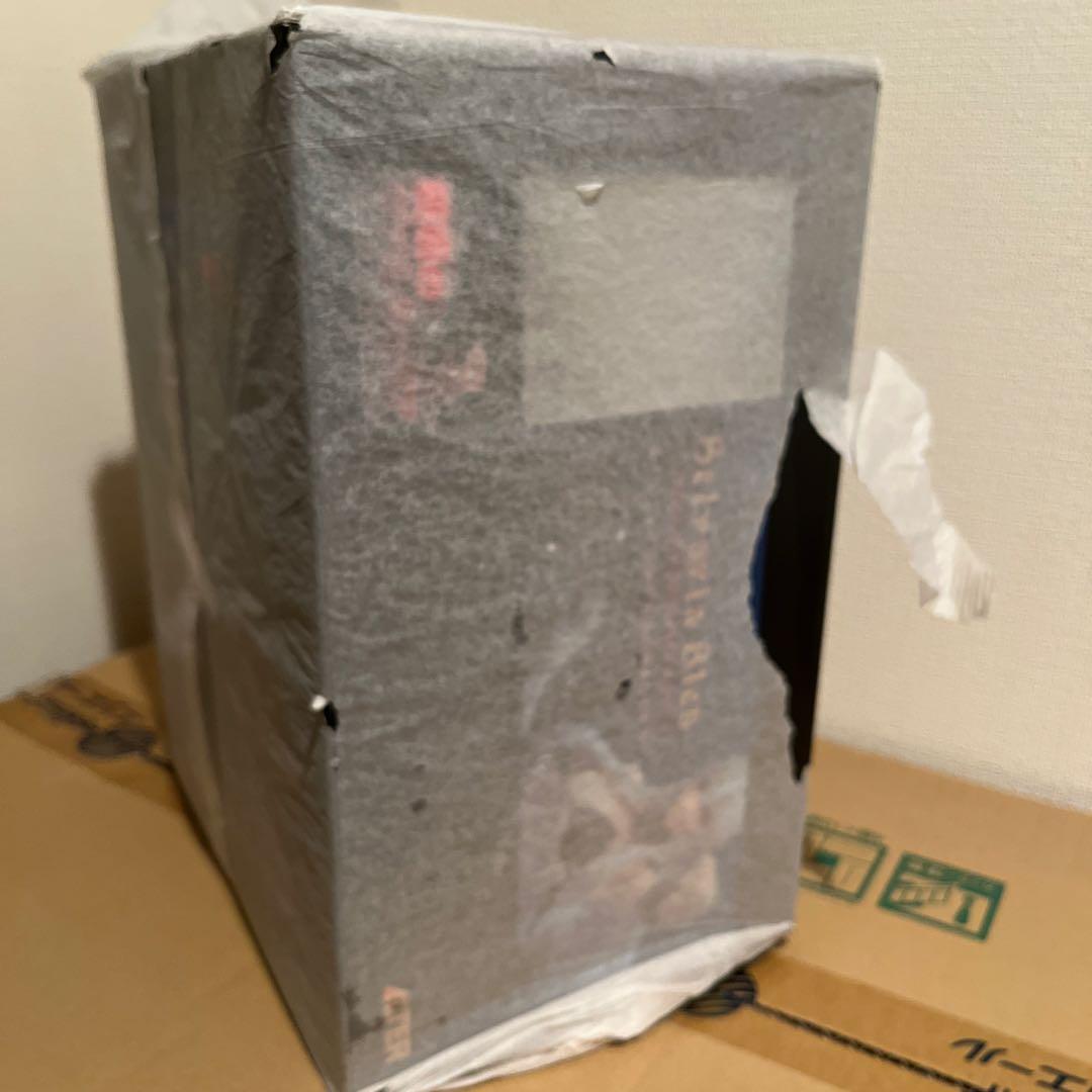 戦場のヴァルキュリア セルベリア・ブレス 水着Ver.