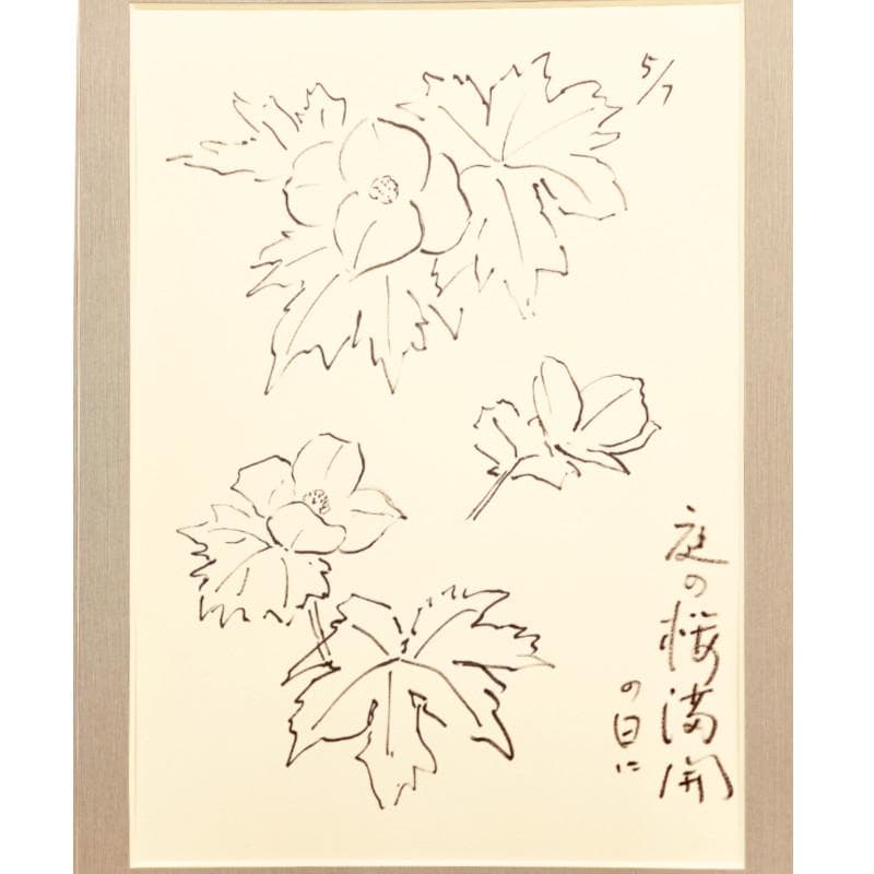 ☆坂本直行☆「 しらねあおい（庭の桜満開の日に）」ペン画 未使用！