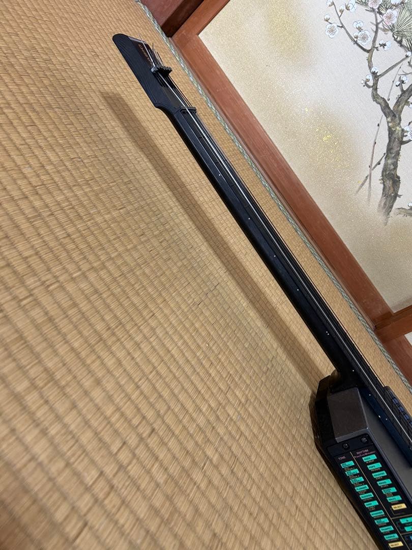 【美品】CASIO DG-20 DIGITAL GUITAR カシオMIDI