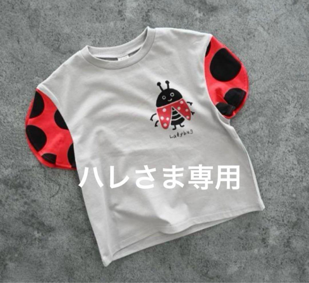 ☆ ハレ　さま　専用　☆