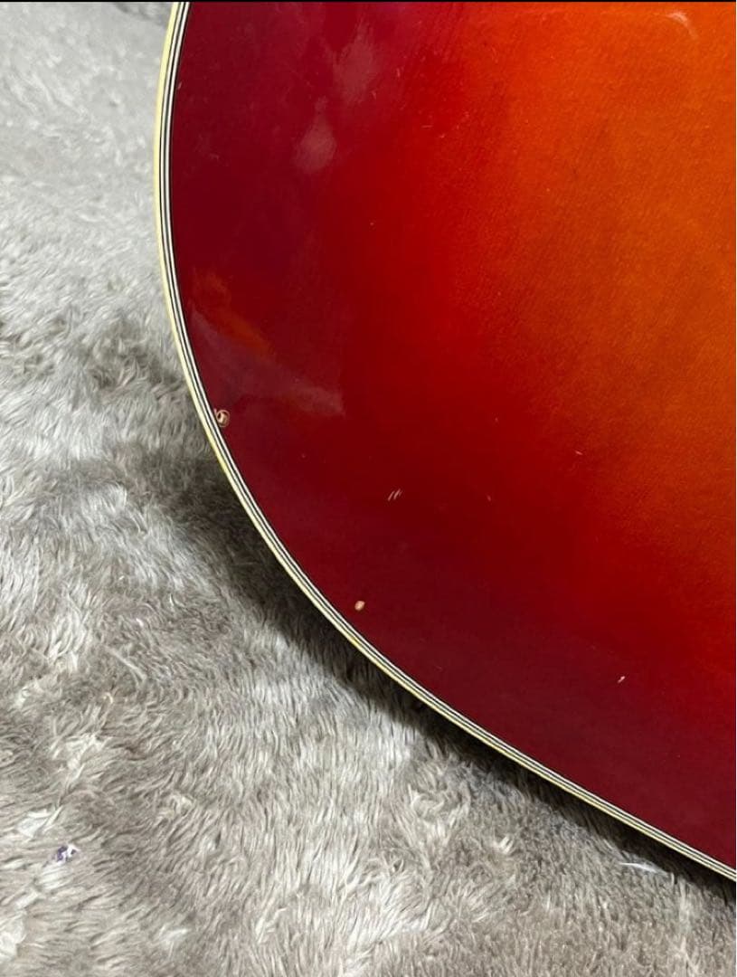 Rockiuger DH-010 アコースティックギター ソフトケースつき