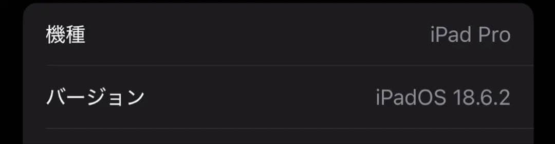 iPad Pro11インチWi-Fiモデル　スペースグレー128G