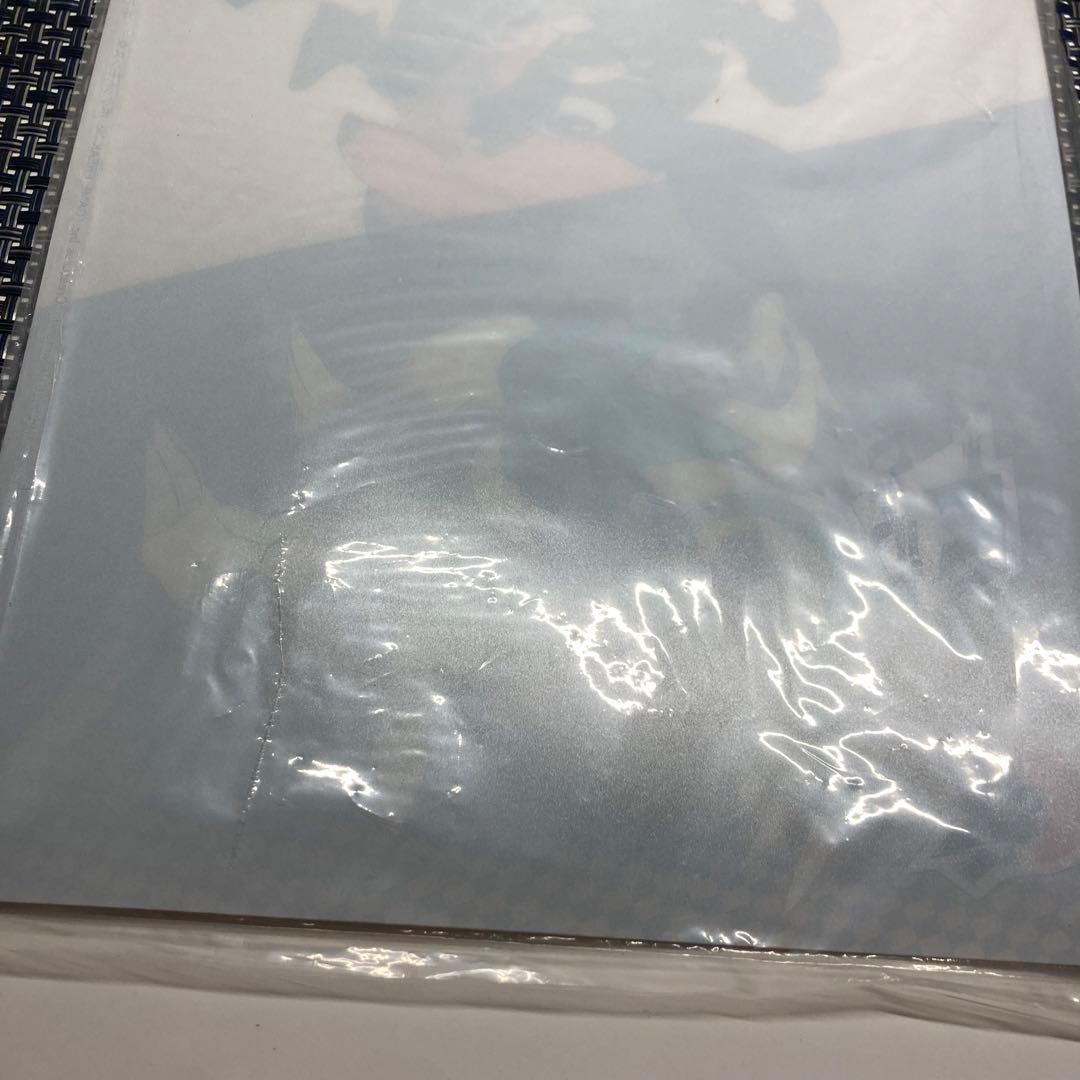 ポケットモンスター ブラック ホワイト 3D カード 下敷き b