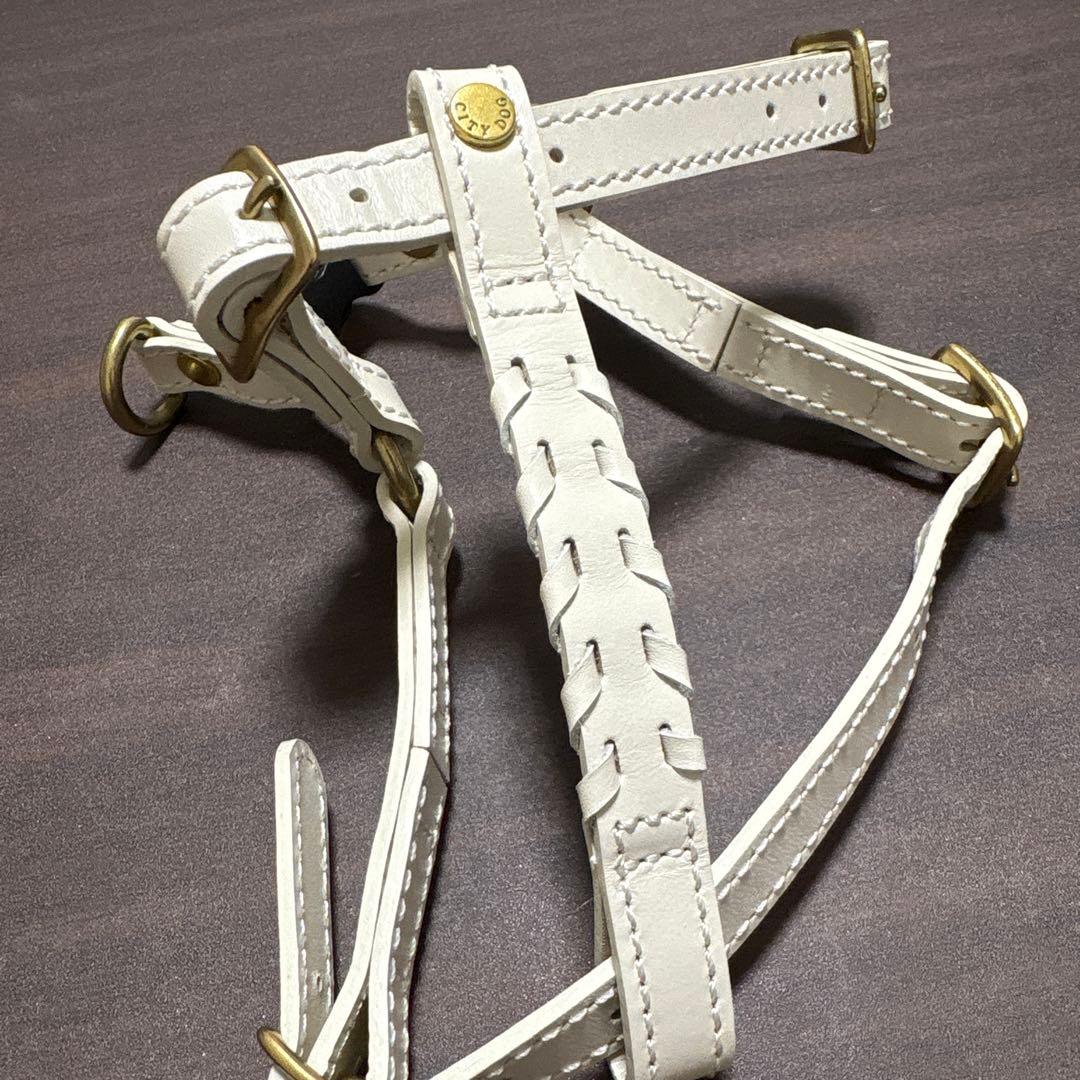 CITYDOG レザー ハーネスMサイズ&リードセット　アイボリー
