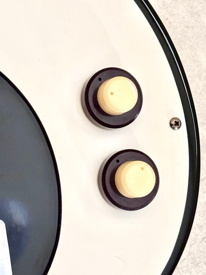 Danelectro ダンエレクトロ ベース 軽量 新品ソフトケース付き