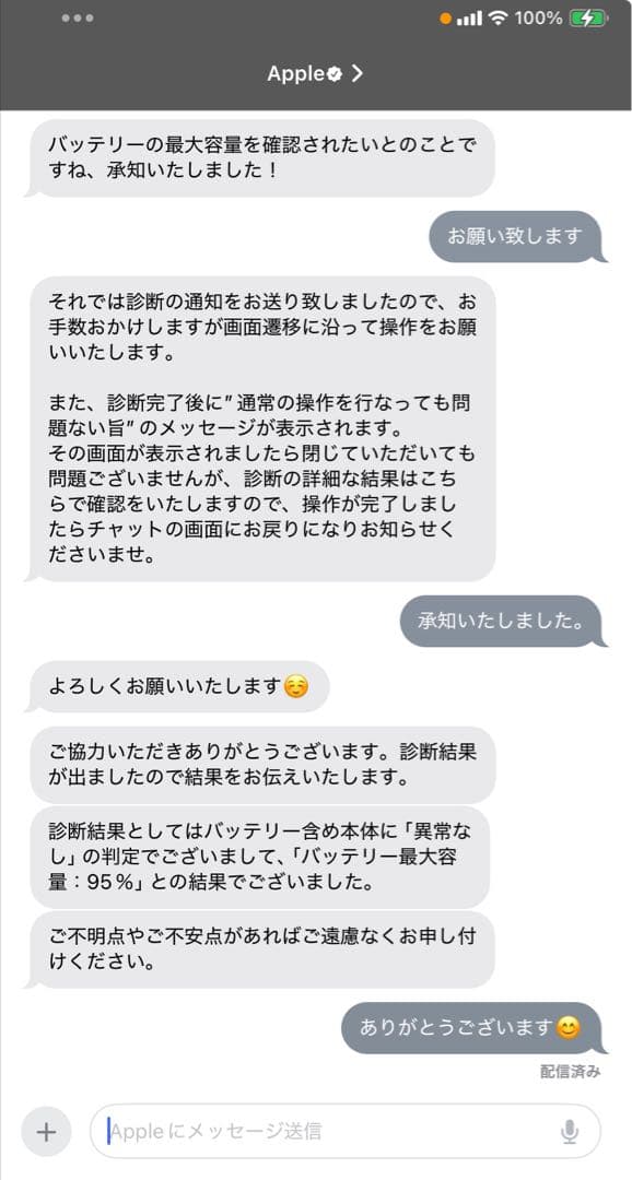 iPad mini 第6世代　256GB セルラーモデル）＋付属品セット