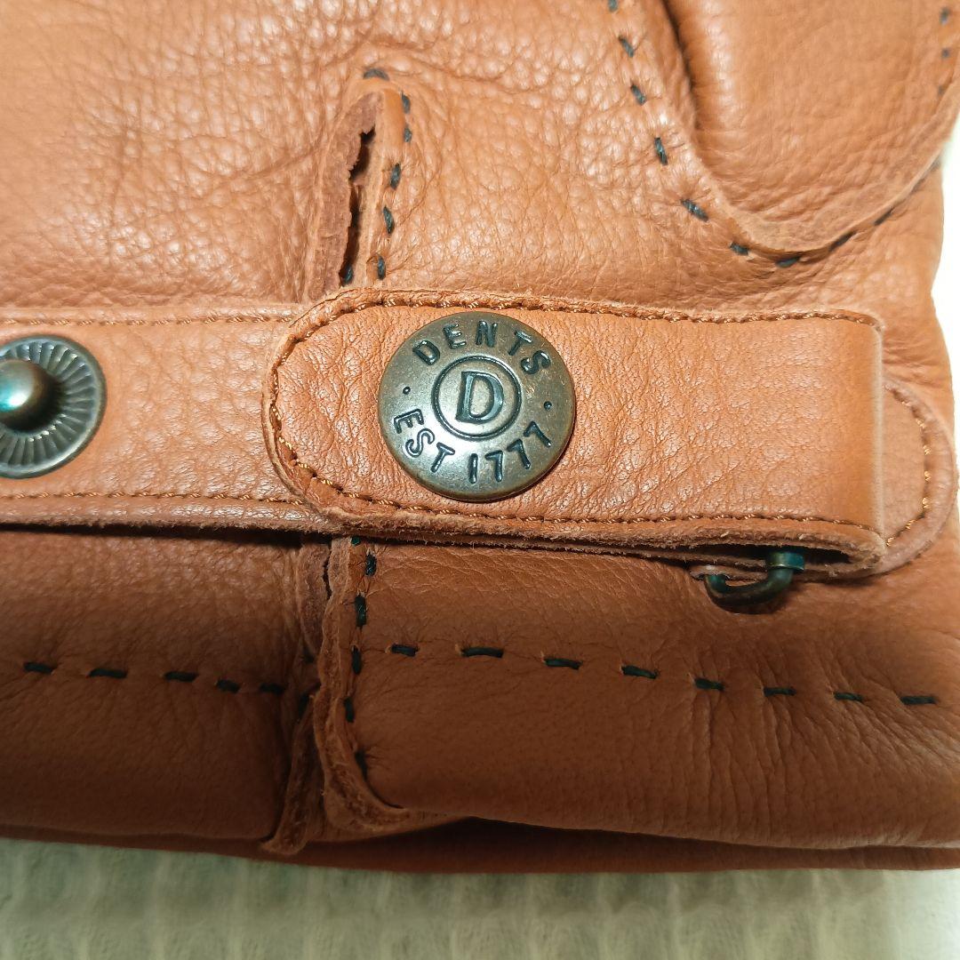 DENTS デンツ ディアスキン