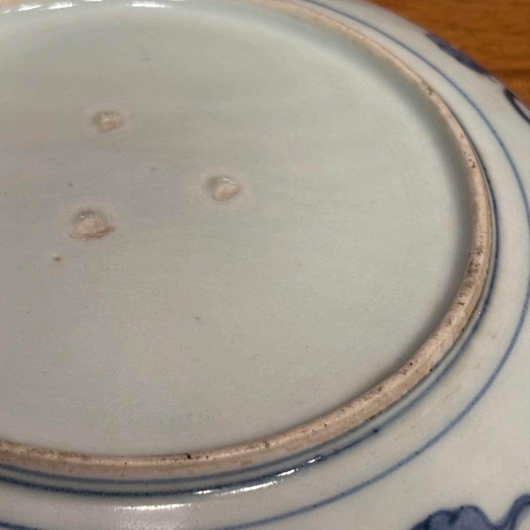 江戸時代 古伊万里染付 唐草菊図金彩皿