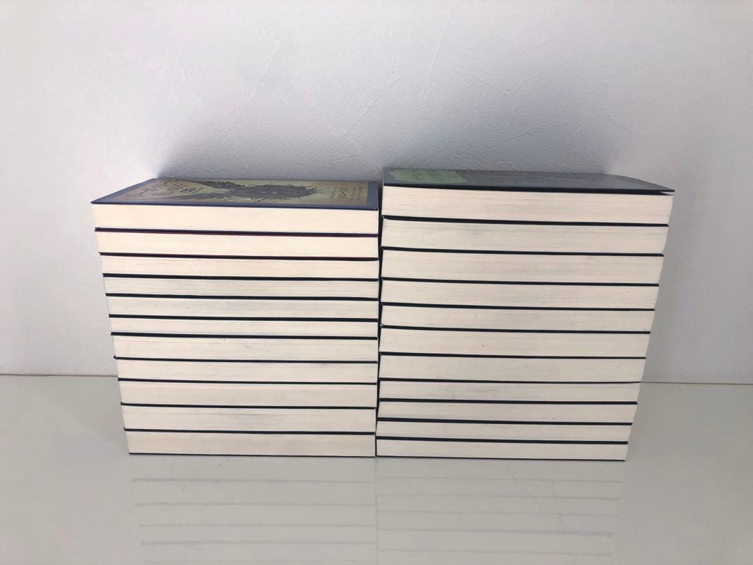 ハリーポッター 全巻セット22冊　ペガサス文庫