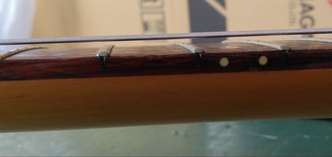 ギター edwards anchang star