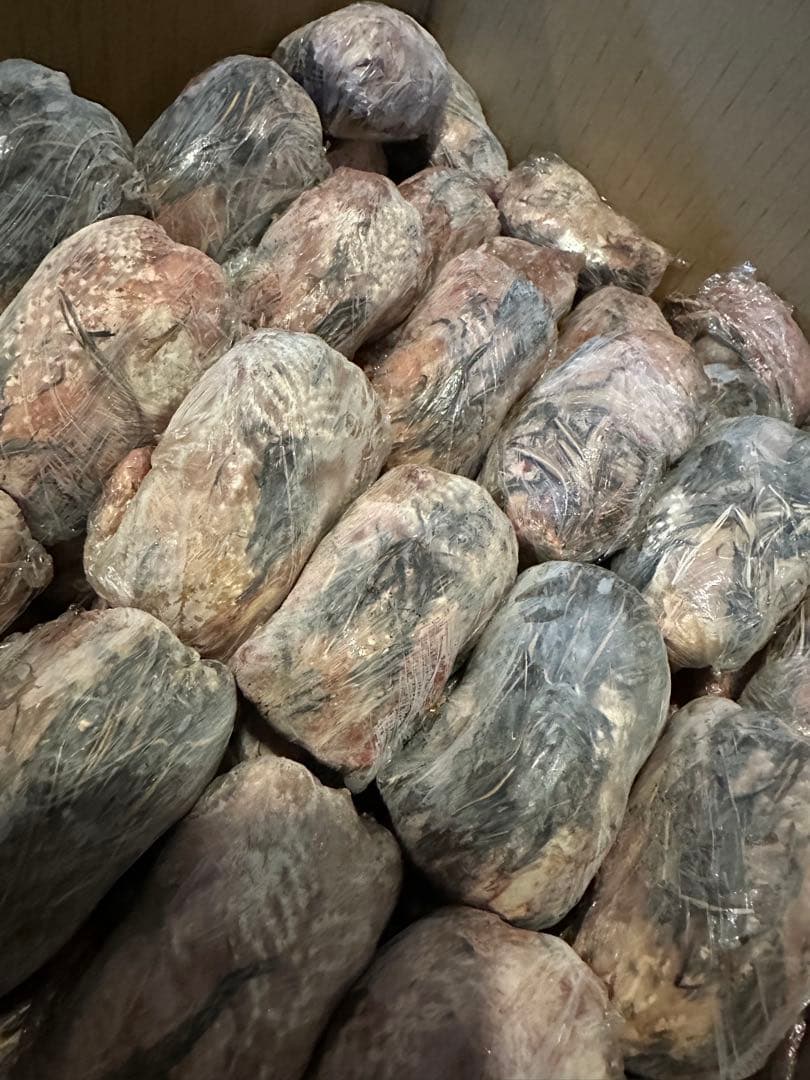 冷凍ウズラ 63羽　処理済み 　猛禽類、爬虫類のエサ