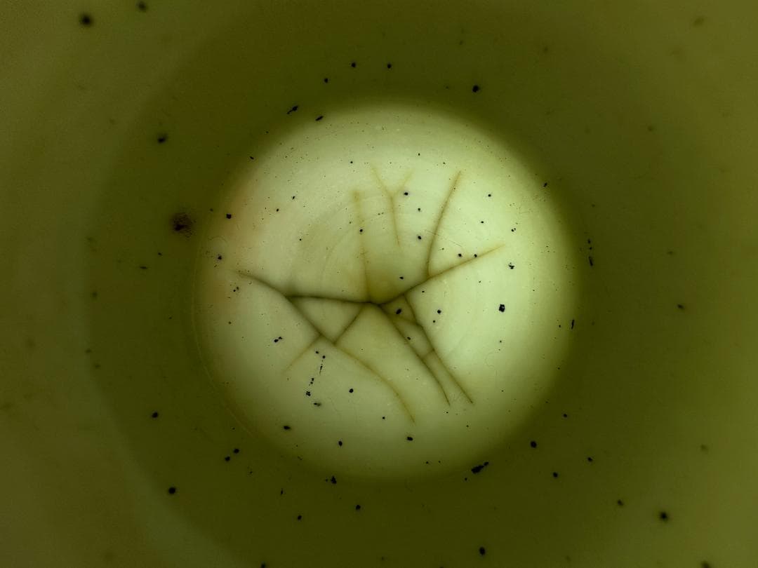 茶道具　白磁　暗刻花卉文小壺　茶入　茶壺　中国　唐物