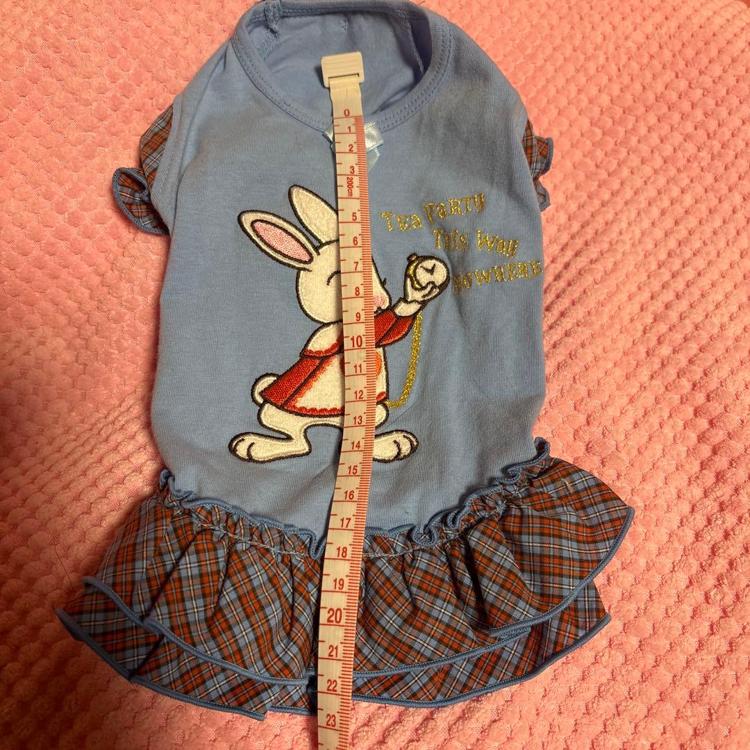 bul bu-bu ブルブブ　アリス　ウサギ刺繍の犬服 水色 チェックフリル